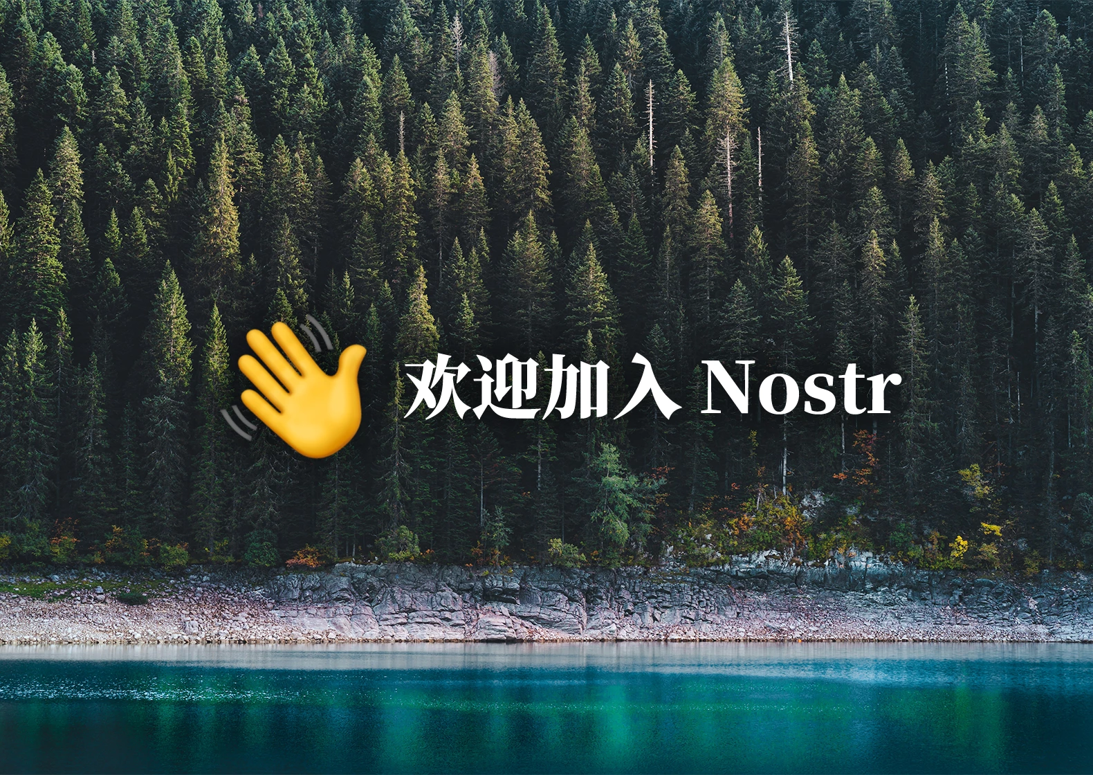 欢迎加入 Nostr, 这是一份快速入门指南.