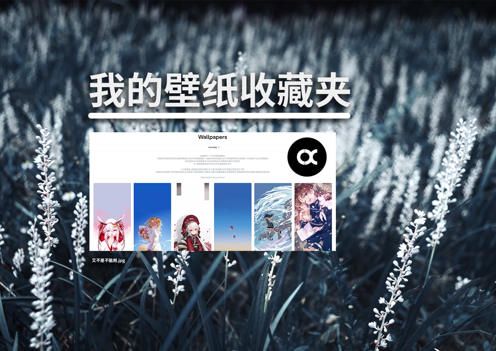 我的壁纸收藏夹